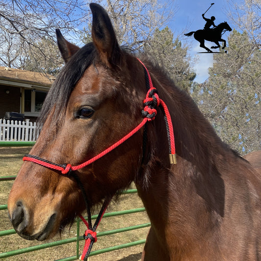 Polo and Equestrian Teams | Red & Black Rope Halter | Hand-Tied | Custom Colors