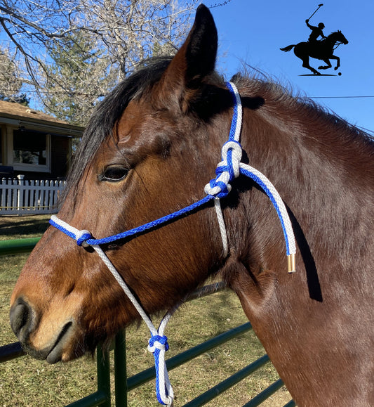 Polo and Equestrian Teams | Royal Blue & White Rope Halter | Hand-Tied | Custom Colors
