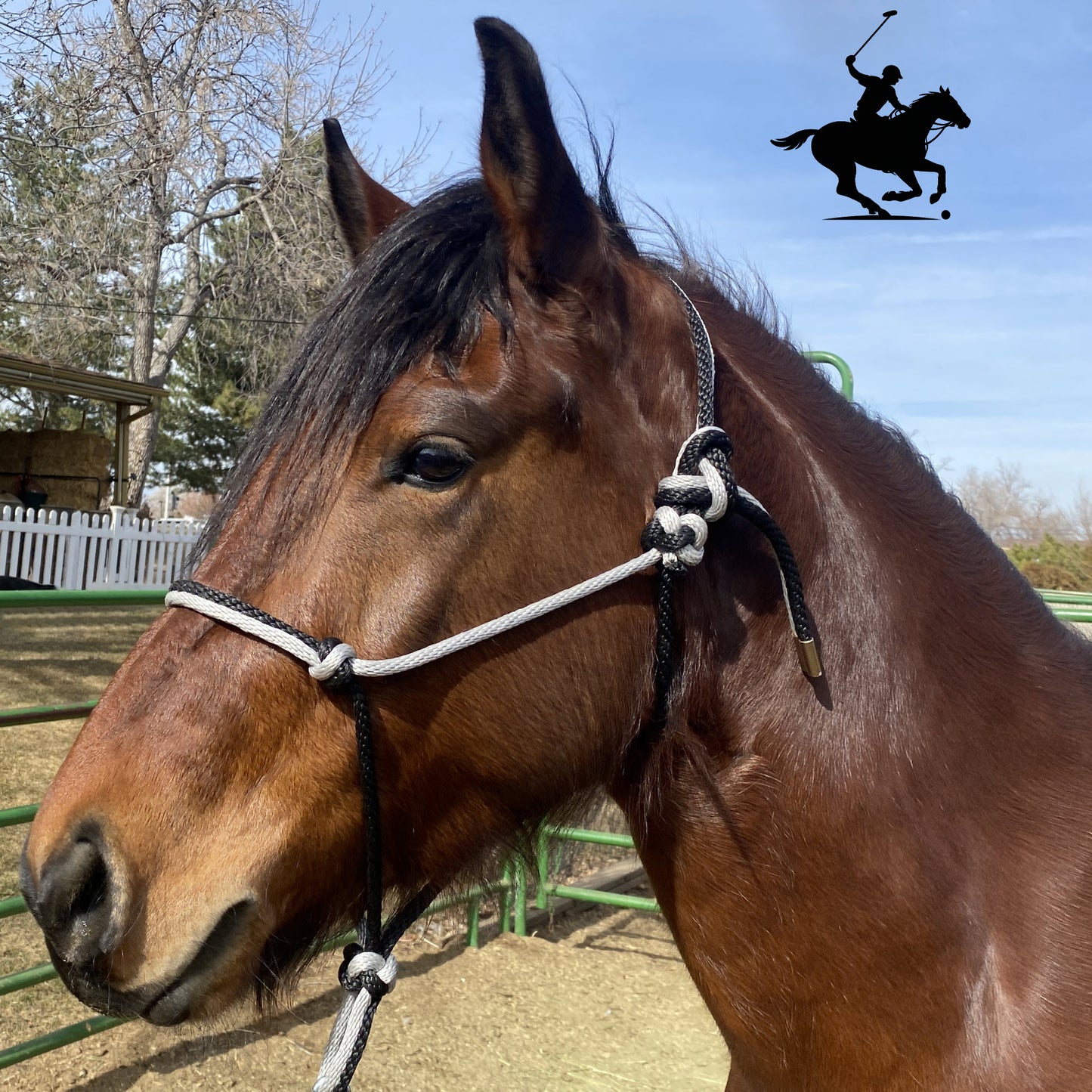 Polo and Equestrian Teams | Silver & Black Rope Halter | Hand-Tied | Custom Colors