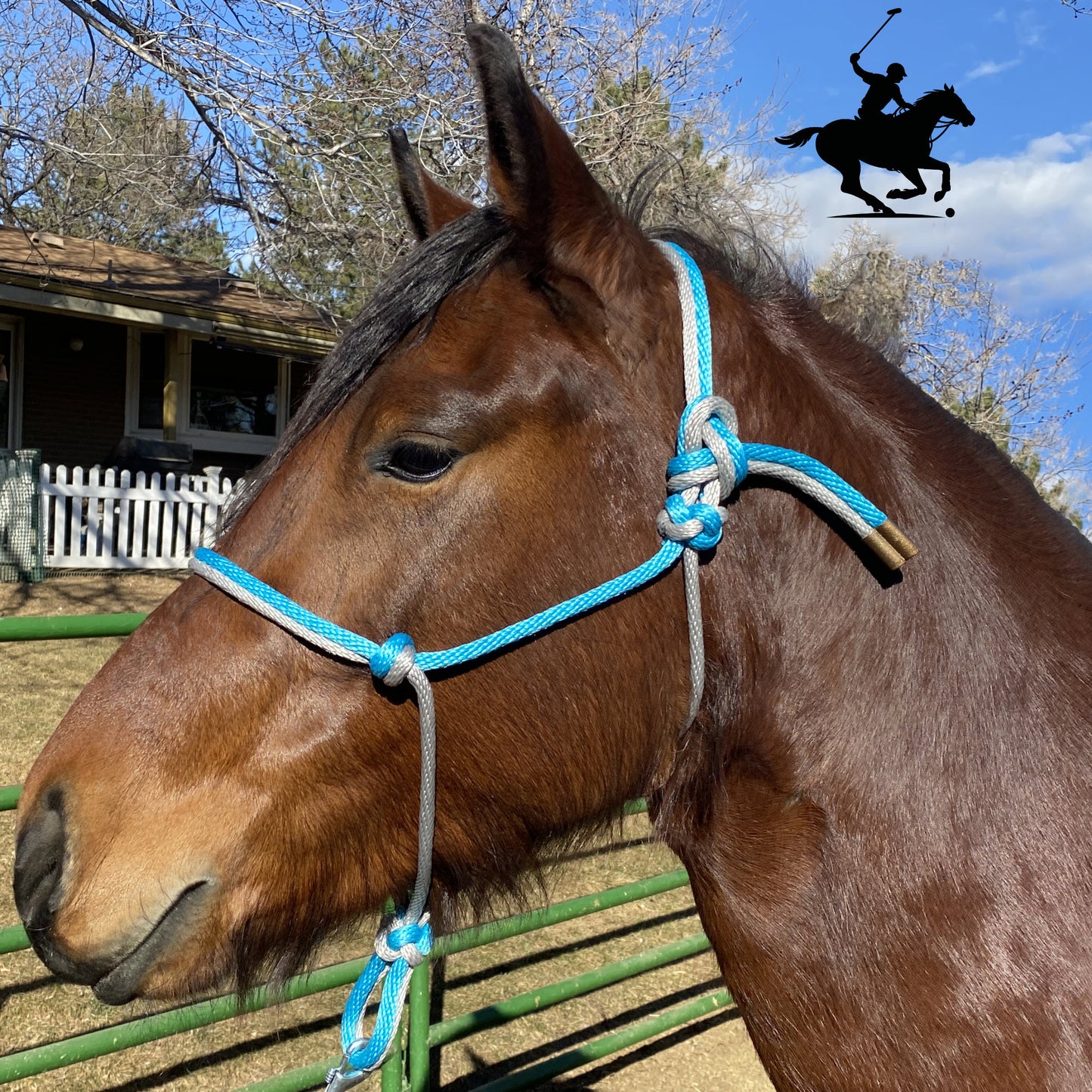 Polo and Equestrian Teams | Teal & Silver Rope Halter | Hand-Tied | Custom Colors