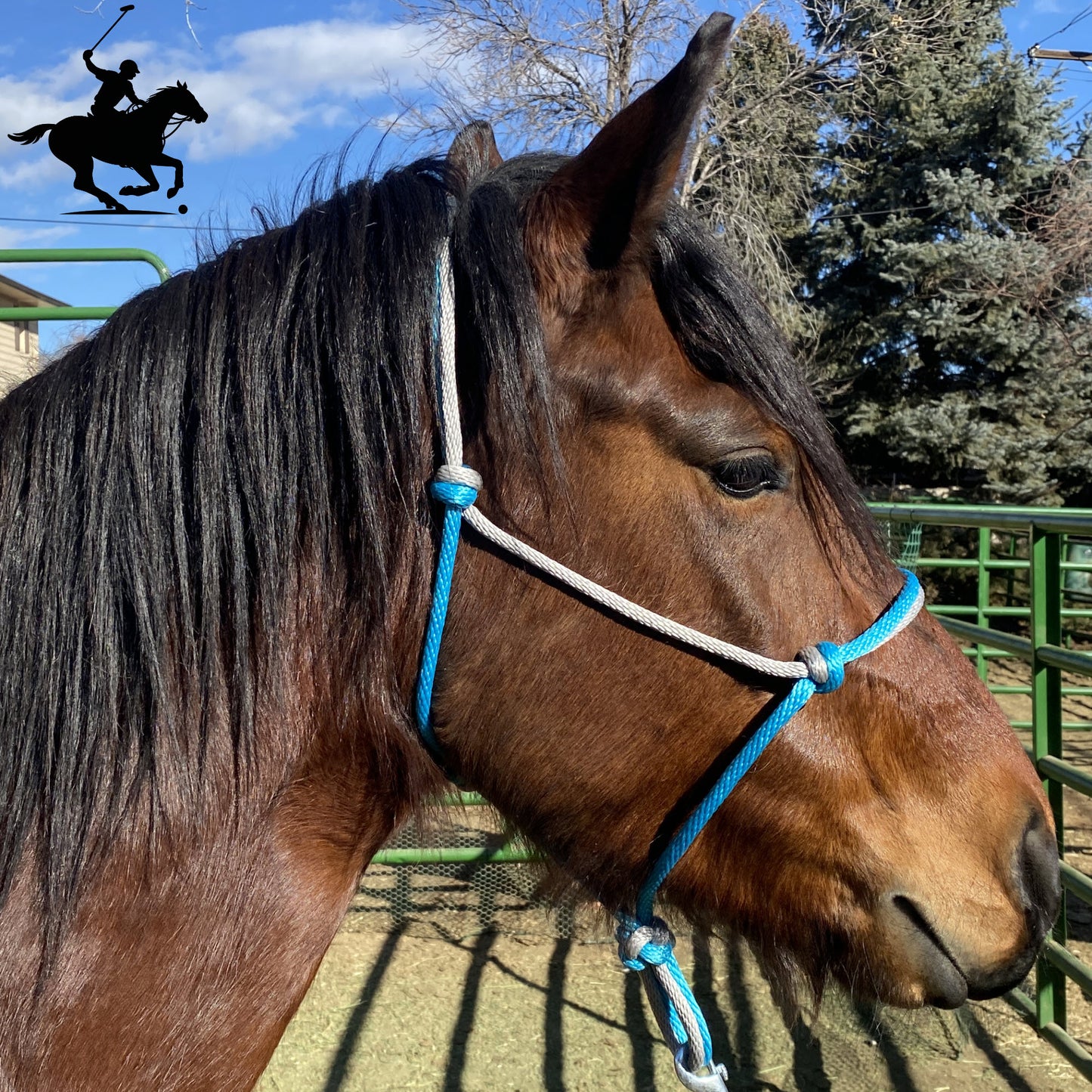 Polo and Equestrian Teams | Teal & Silver Rope Halter | Hand-Tied | Custom Colors