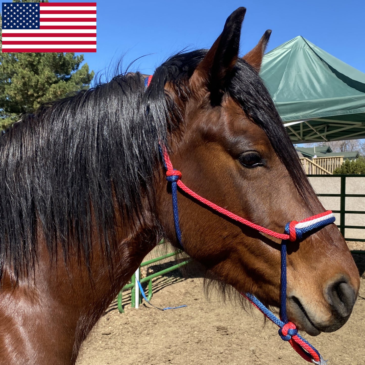 U.S. Flag Colors - Red, White & Navy Blue Rope Halter for Horses | Original Handmade Design