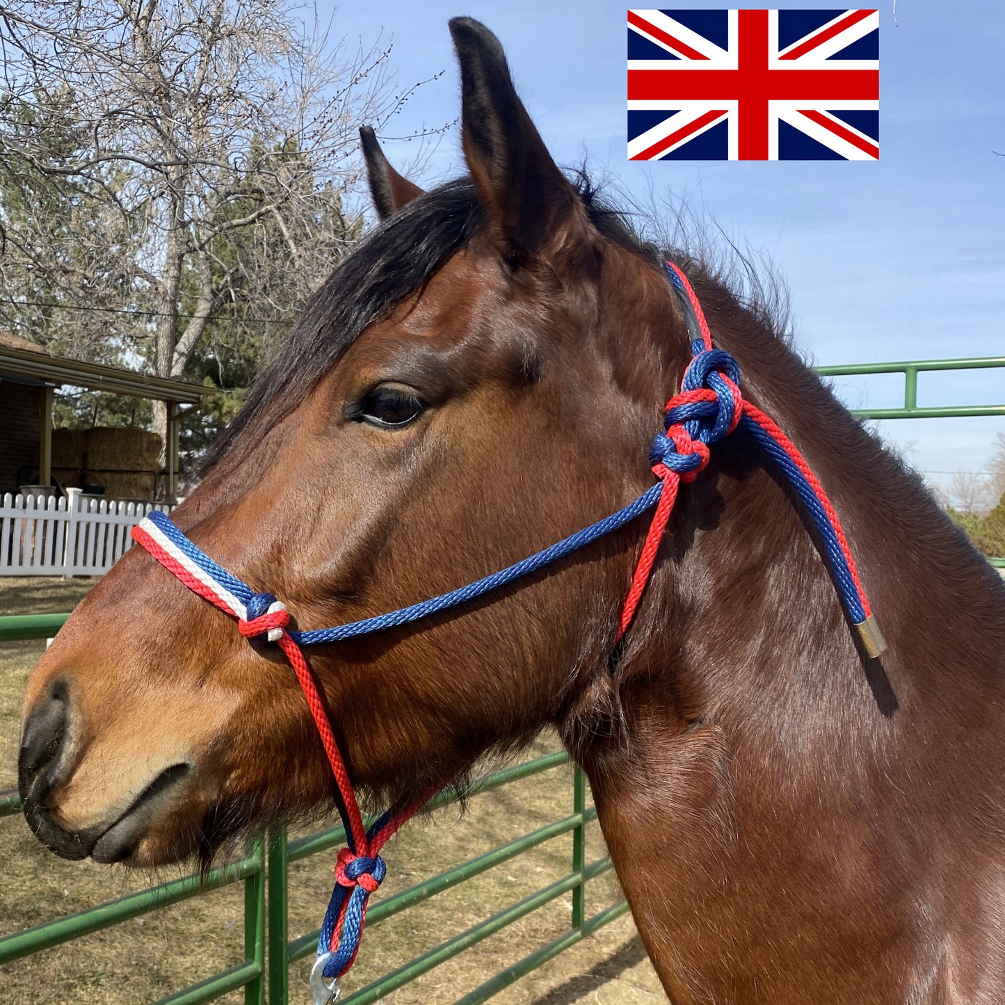 United Kingdom (UK) Flag Colors - Navy Blue, White & Red Rope Halter for Horses | Original Handmade Design