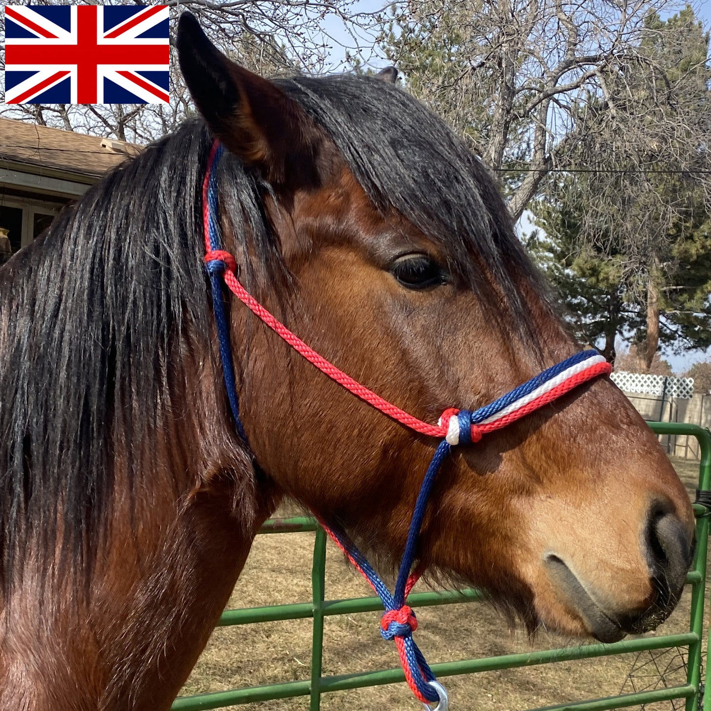 United Kingdom (UK) Flag Colors - Navy Blue, White & Red Rope Halter for Horses | Original Handmade Design