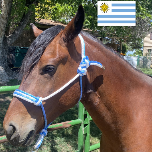 Uruguay Flag Colors - Sky Blue & White Rope Halter for Horses | Original Handmade Design