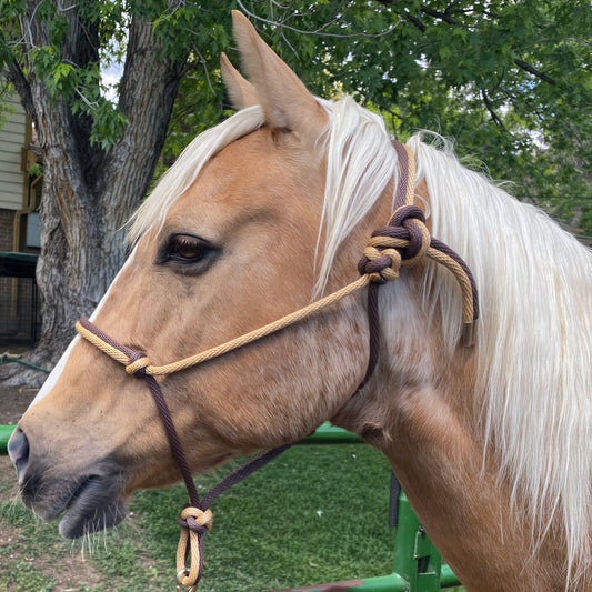 Western Classics | Brown & Mid-Tan Rope Halter for Horses | Two Band | Original Handmade Design