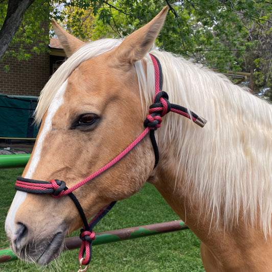 Western Classics | Burgundy & Black Rope Halter for Horses | Quad Band | Original Handmade Design