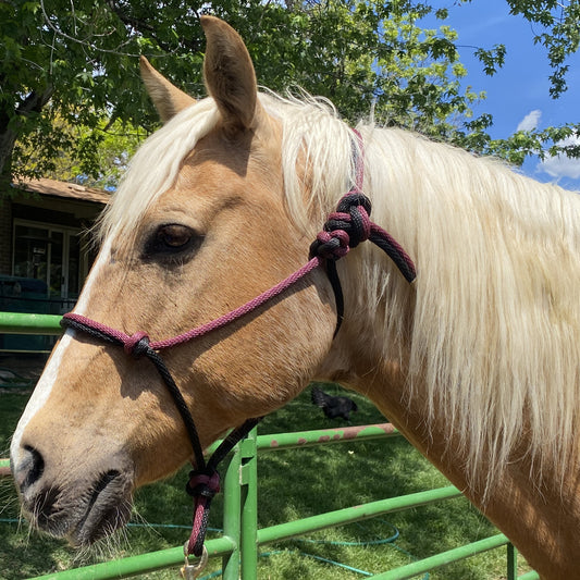 Western Classics | Burgundy & Black Rope Halter for Horses | Two Band | Original Handmade Design