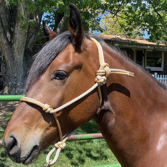 Western Classics | Mid Tan & Light Tan Rope Halter for Horses | Two Band | Original Handmade Design